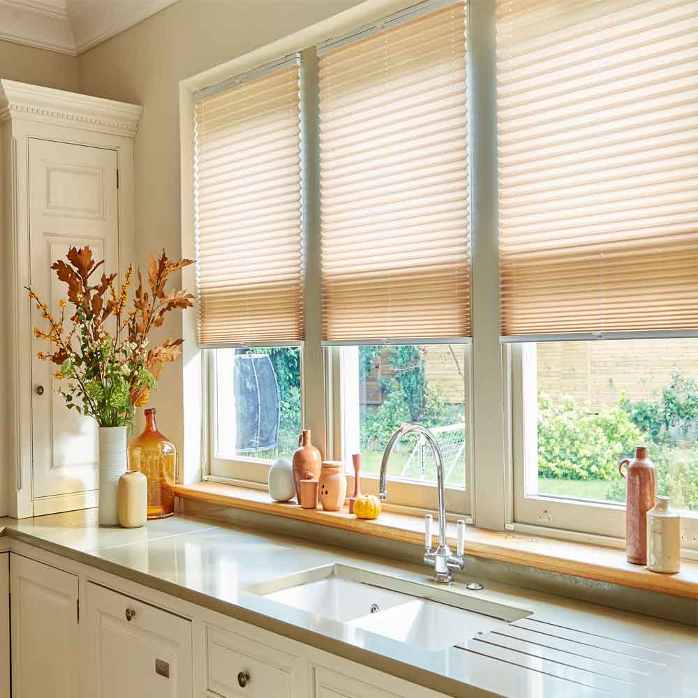 Pleated blinds in Swindon